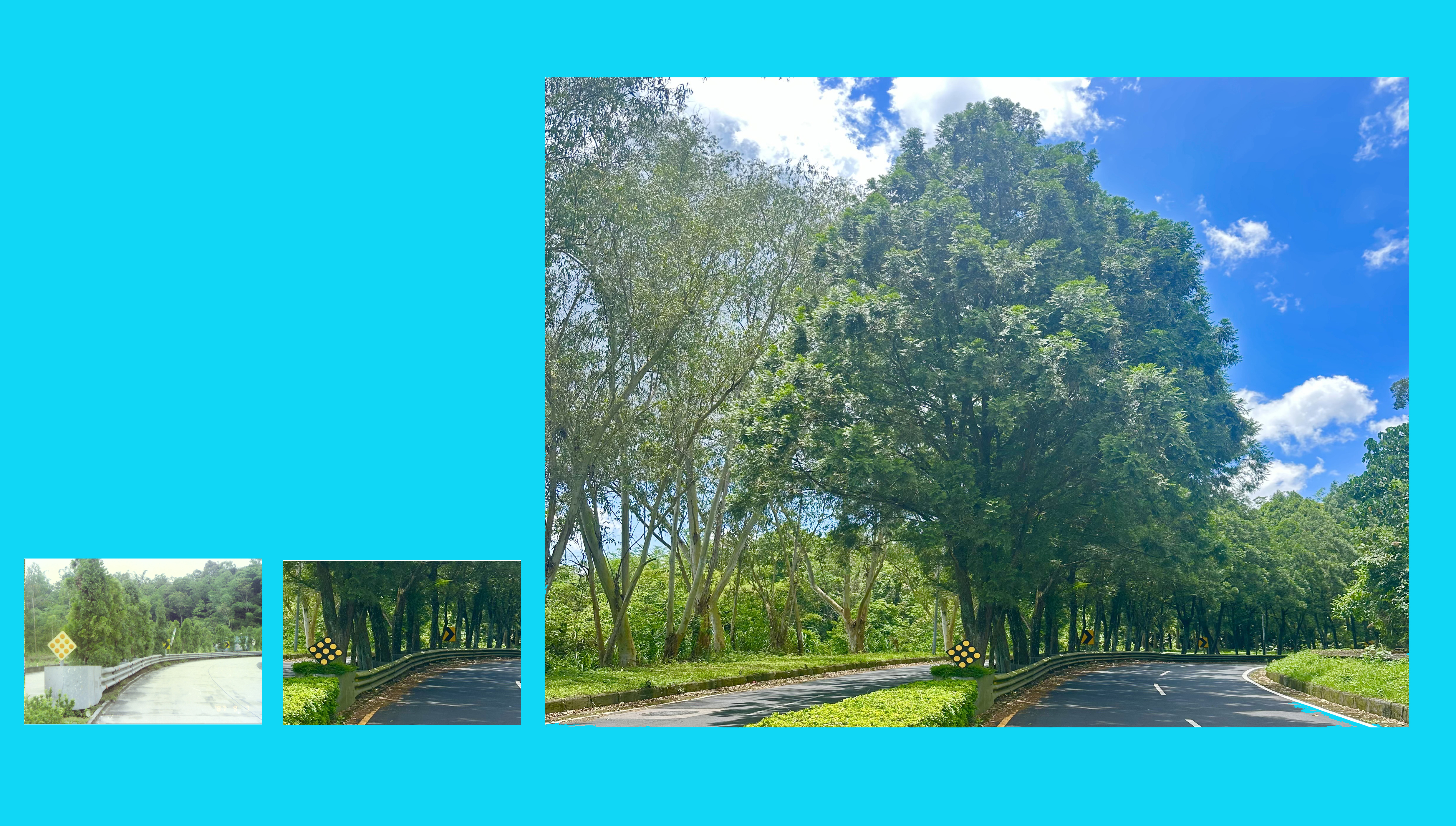 暨大映像- 時光交織系列- 校門汽車道 縮圖